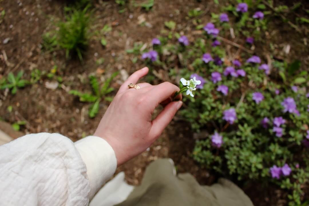 A person tending a small plant on a sunlit windowsill, hands a little dirty, looking quietly hopeful